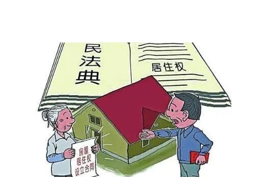 有效代书遗嘱继承经典案例?