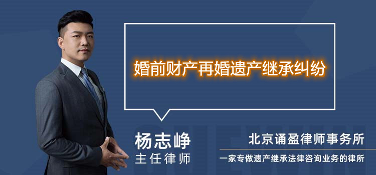 婚前财产再婚遗产继承纠纷