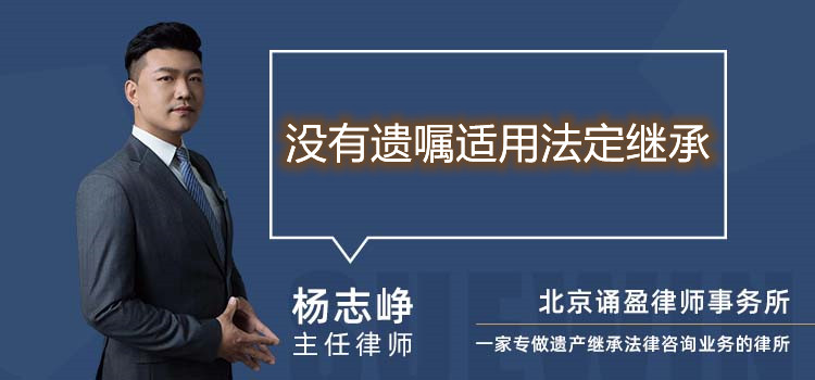 没有遗嘱适用法定继承