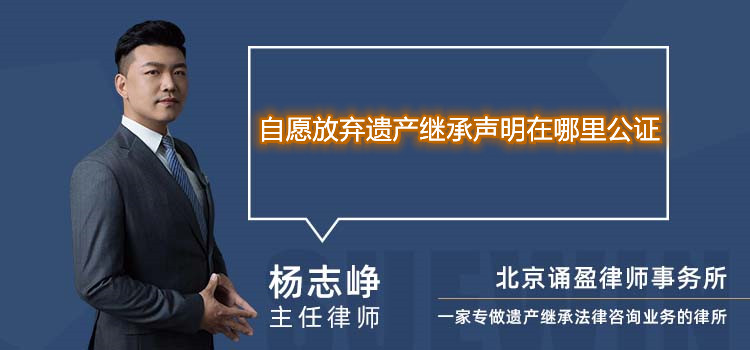 自愿放弃遗产继承声明在哪里公证