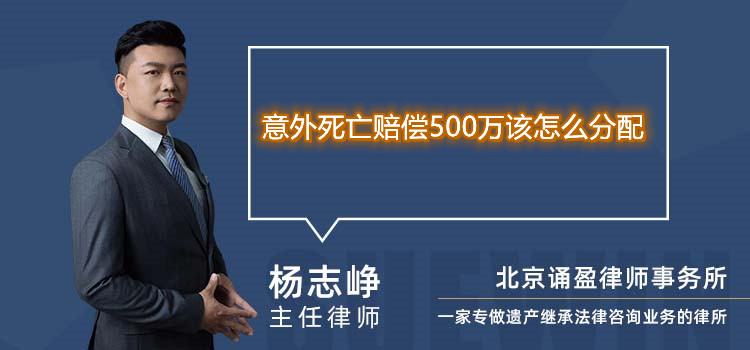 意外死亡赔偿500万该怎么分配